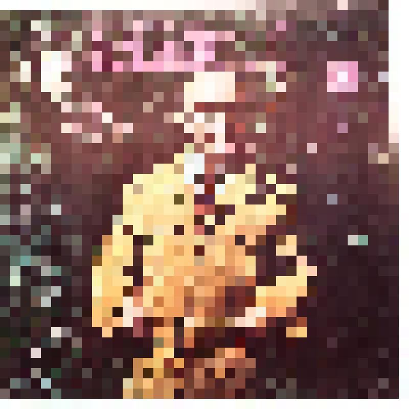 Грампластинка в конверте