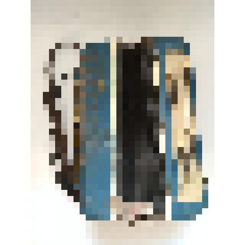 Баян "Искра"