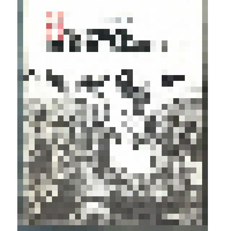 Книга. Новгородское (Рюриково) городище