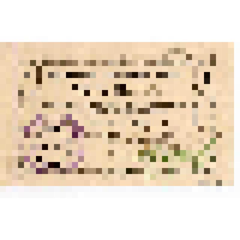 Чек на 1 рубль Красноярского общественного собрания