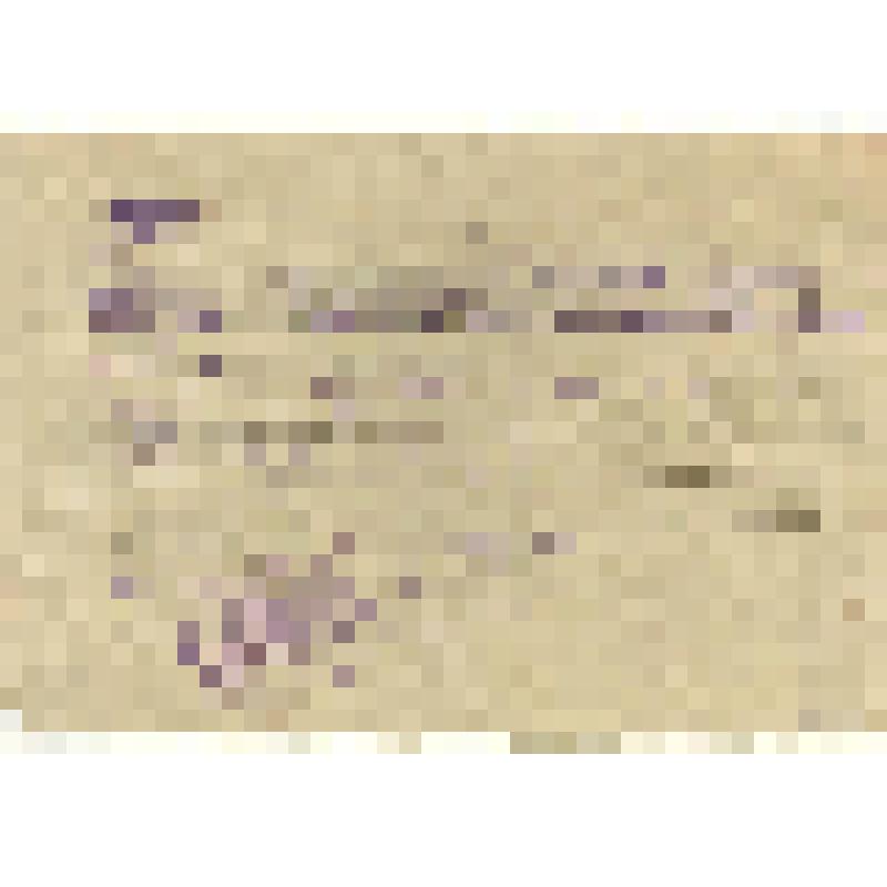 справка. Справка из сельсовета с. Беи выдана Мешалкиной Г.Т., свидетельствует о том, что она является постоянным жителем с. Беи Алтайского района Хакасии