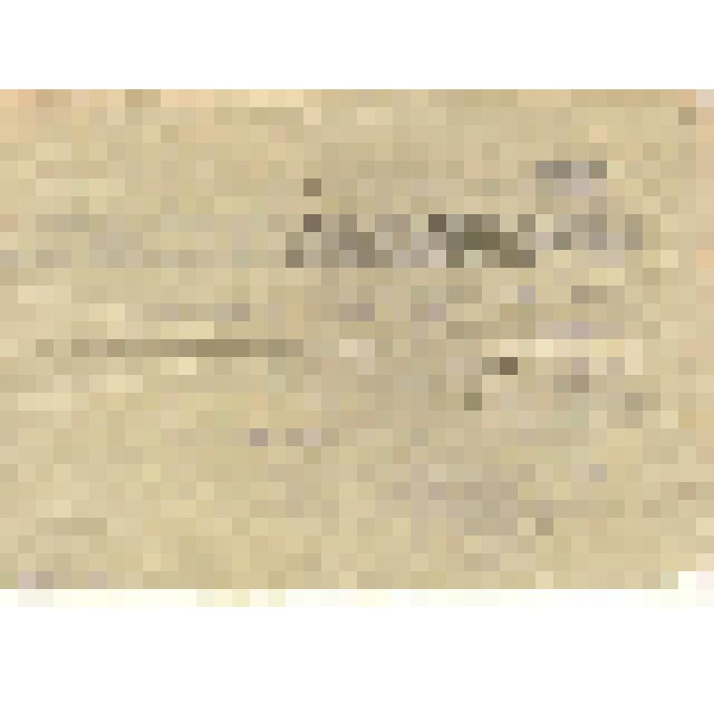 справка. Справка из сельсовета с. Беи выдана Мешалкиной Г.Т., свидетельствует о том, что она является постоянным жителем с. Беи Алтайского района Хакасии