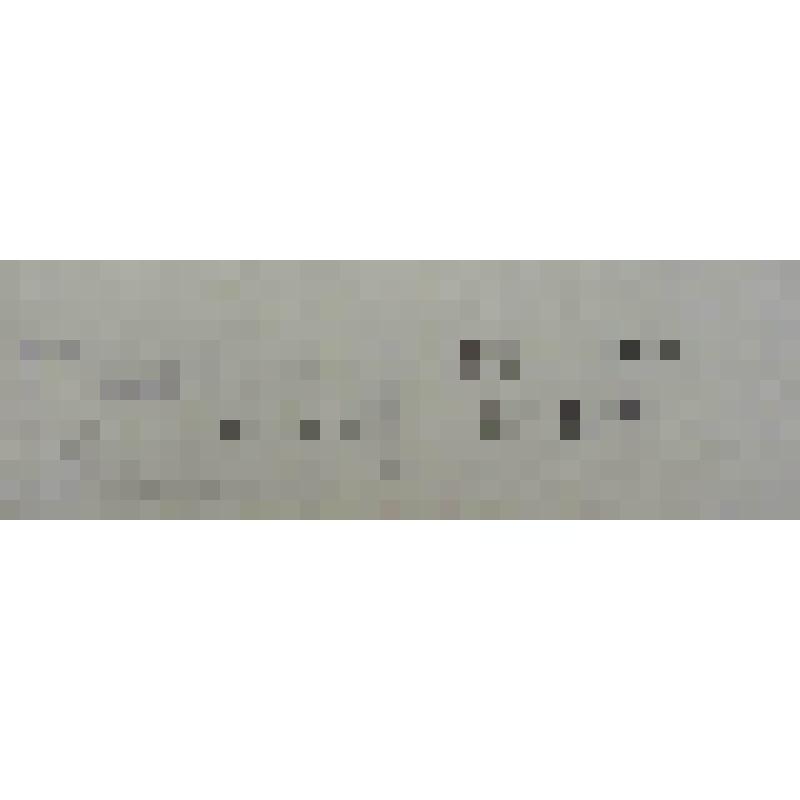 Живучка женевская Ajuga genevensis L