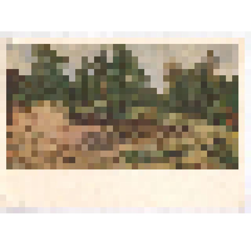 Открытка. Этюд с натуры, 1890 г