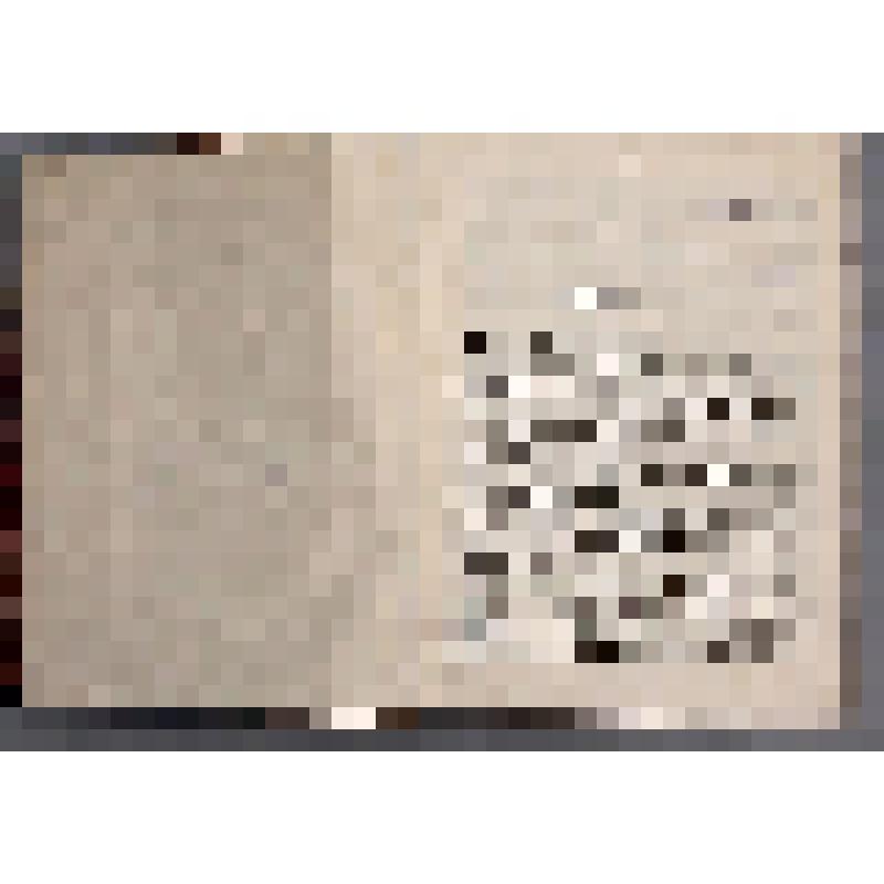 Справочное издание. Ежемесячный метеорологический бюллетень. 1906 г. / Николаевская Гл. Физ. Обсерватория. - СПб.: Тип. Имп. АН, 1906. - [121] л.; 28 вкл