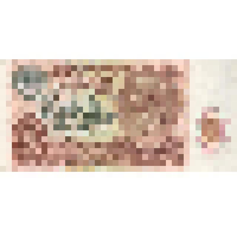 Билет Государственного Банка СССР 10 рублей. СССР