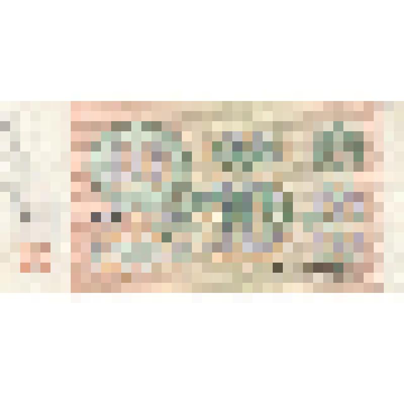 Билет Государственного Банка СССР 10 рублей. СССР