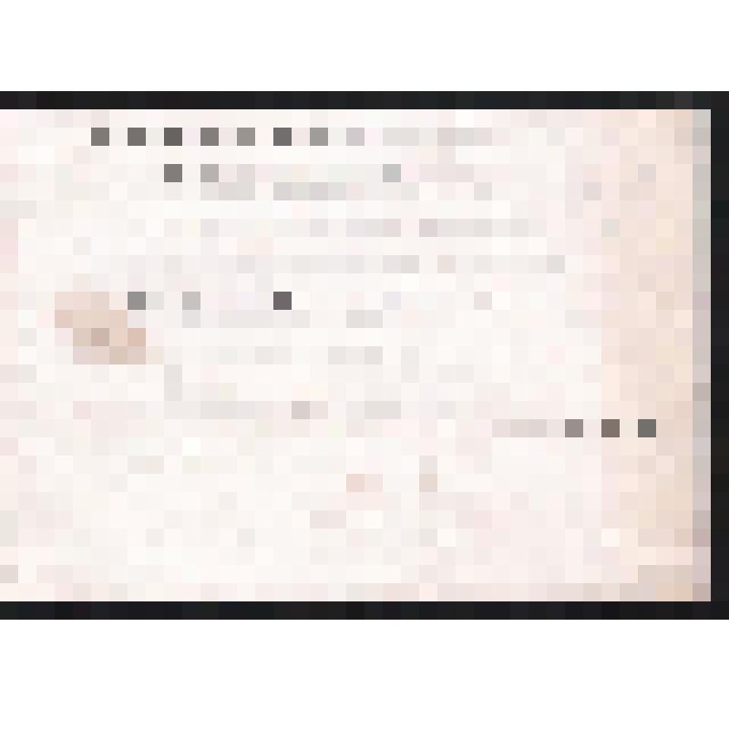 Приглашение на конференцию Объединения «Новый Алтай» г. Горно-Алтайск 4.11.1993 г