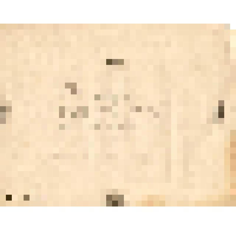 Телеграмма № 260 в г. Чердынь В. Н.Алину от Плюснина из Слободского, 11.10.1884 г