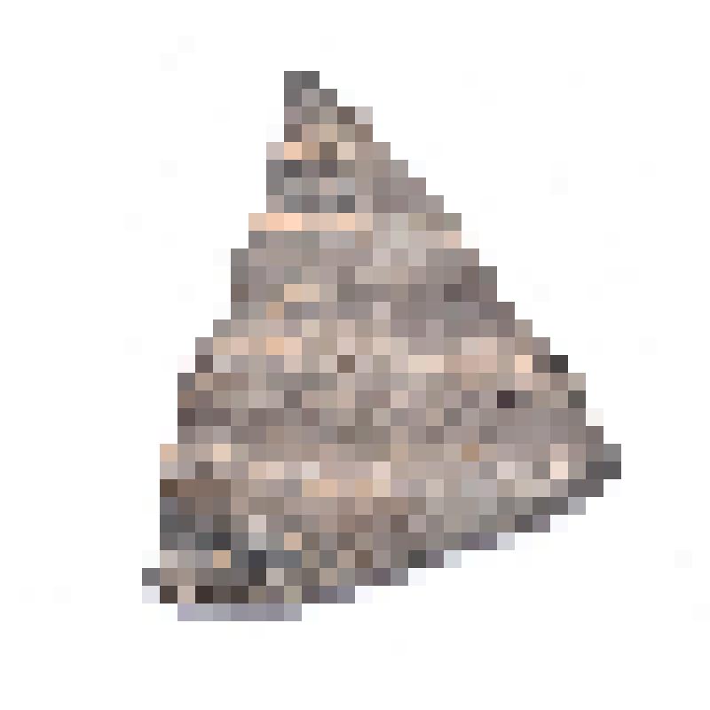 Сосуд (фрагмент)