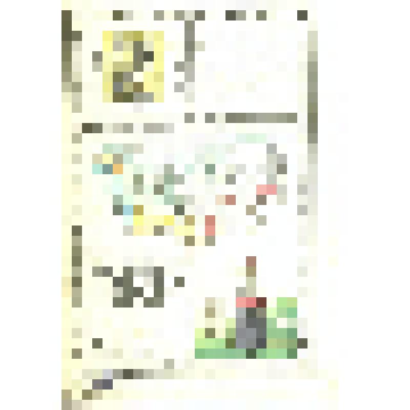 Архангельская губерния