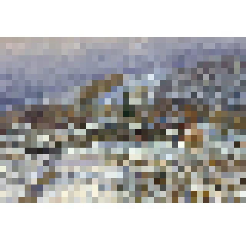 Хмурый март