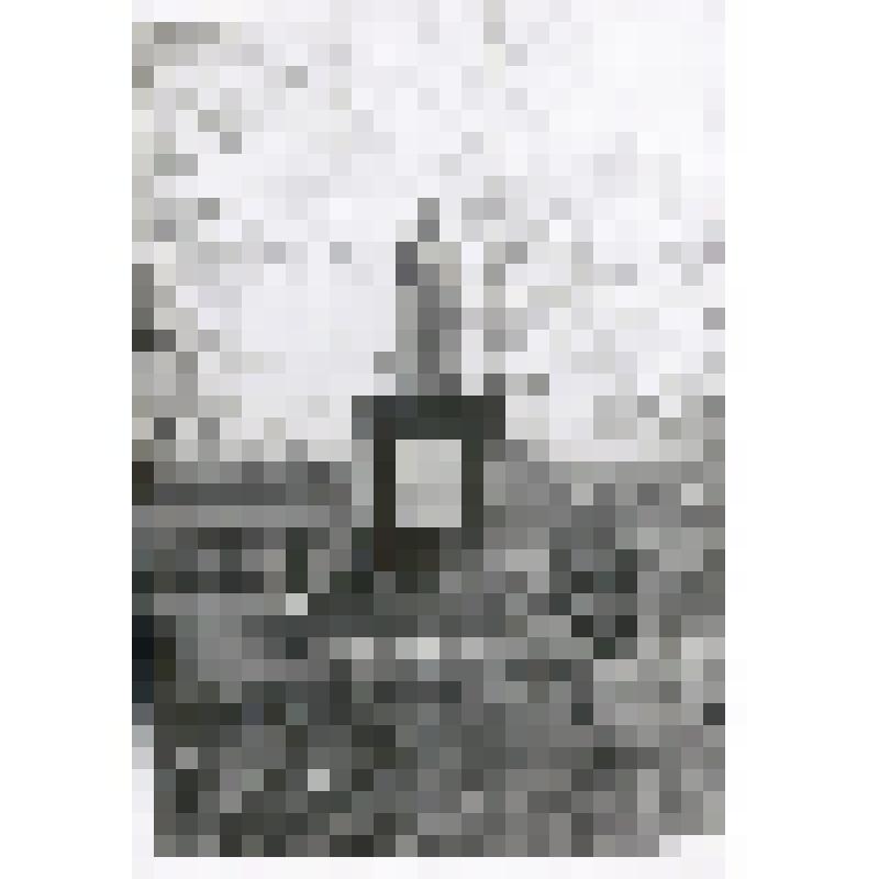 Фотография. Братская могила, с.Пересечное