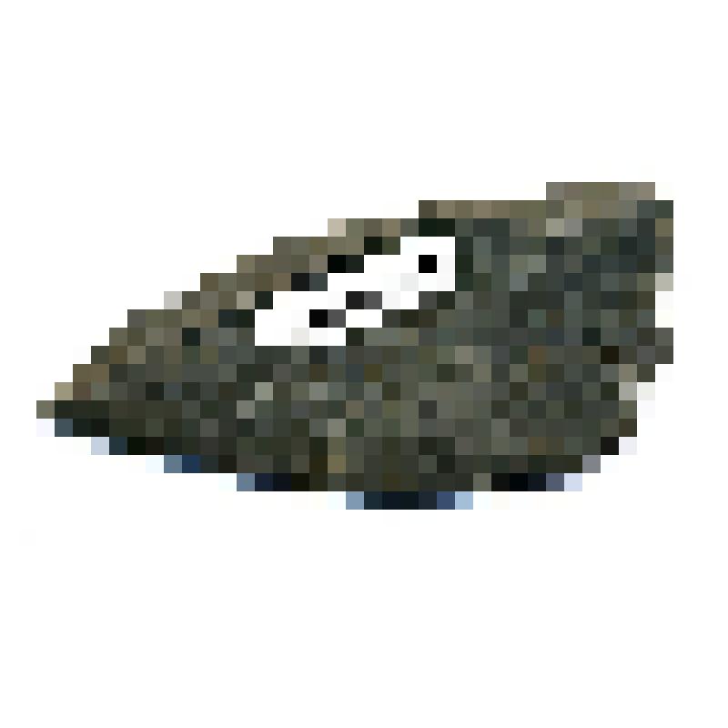 Фрагмент абразивной пилки (?)