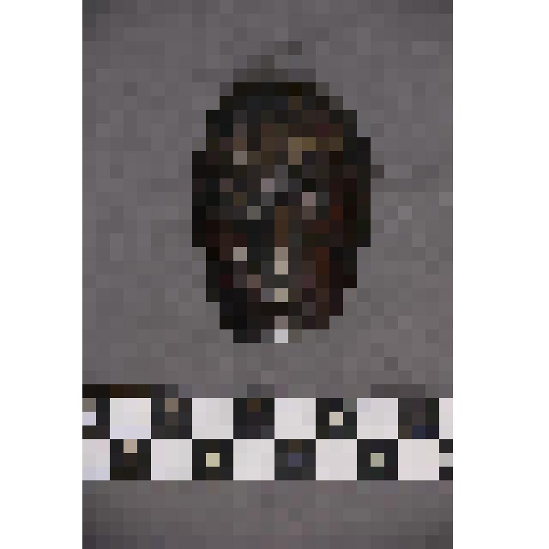 коллекция В.Ф. Лагодича. Талисман на металлической пластине в виде лица человека. Фольга наклеена на черную замшевую подкладку