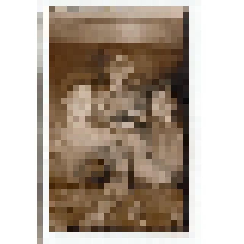 Ф/чб. Бойцы 148-й стрелковой дивизии Гаврилович Л.И., Мишагин, Мокеев (на отдыхе после боя). Германия. 10.04.1945