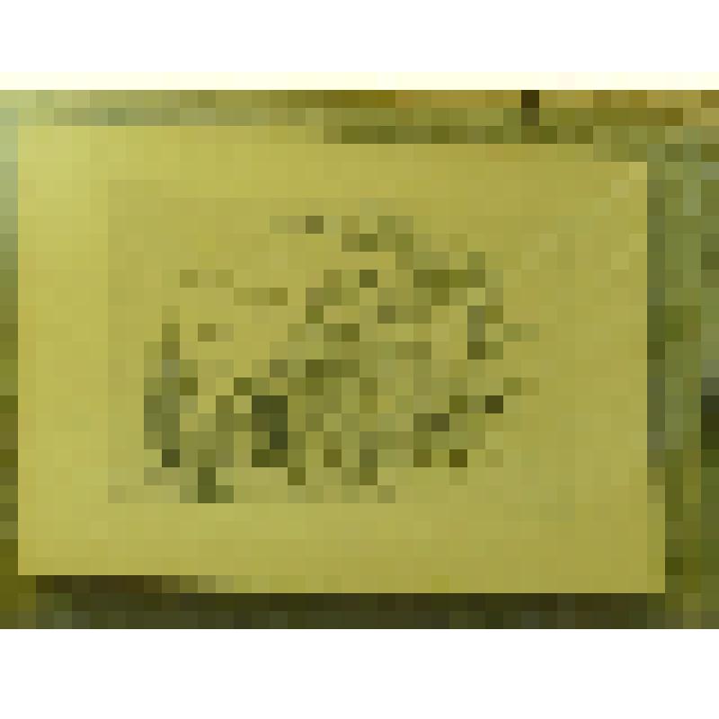 Фототипия с рисунка М.А.Зичи к повести М.Ю.Лермонтова "Княжна Мери": Печорин и Вера в гроте