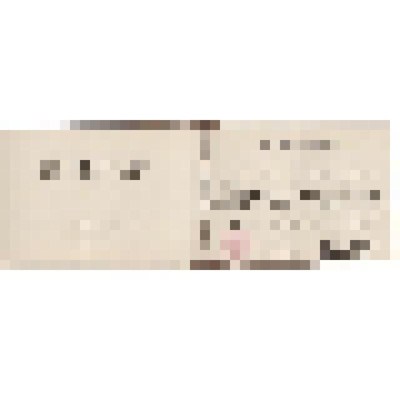 Аттестат профессора МПР N011505 Кузнецова В.А., по специальности "ядерные энергетические установки"