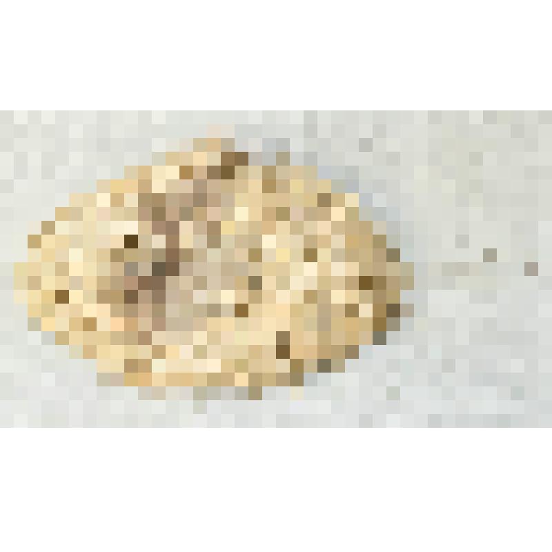 Стружка для гигиены