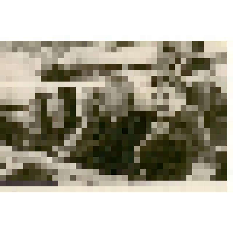 Фотография. Хохлов С.С. с сотрудницами на собрании СГУ, из коллекции материалов Хохлова Сергея Спиридоновича (1910-1974), саратовского ученого-генетика, доктора биологических наук, профессора, зав.кафедрой генетики и дарвинизма СГУ