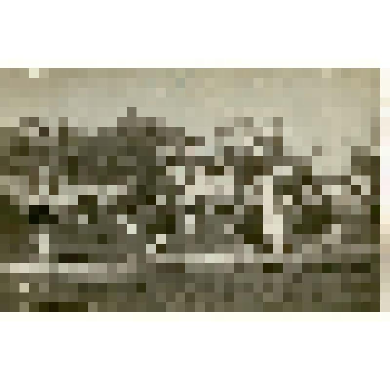 Фотография. Выступление с шарами гимнасток детской спортивной школы гороно на городском спортивном празднике ко Дню Победы