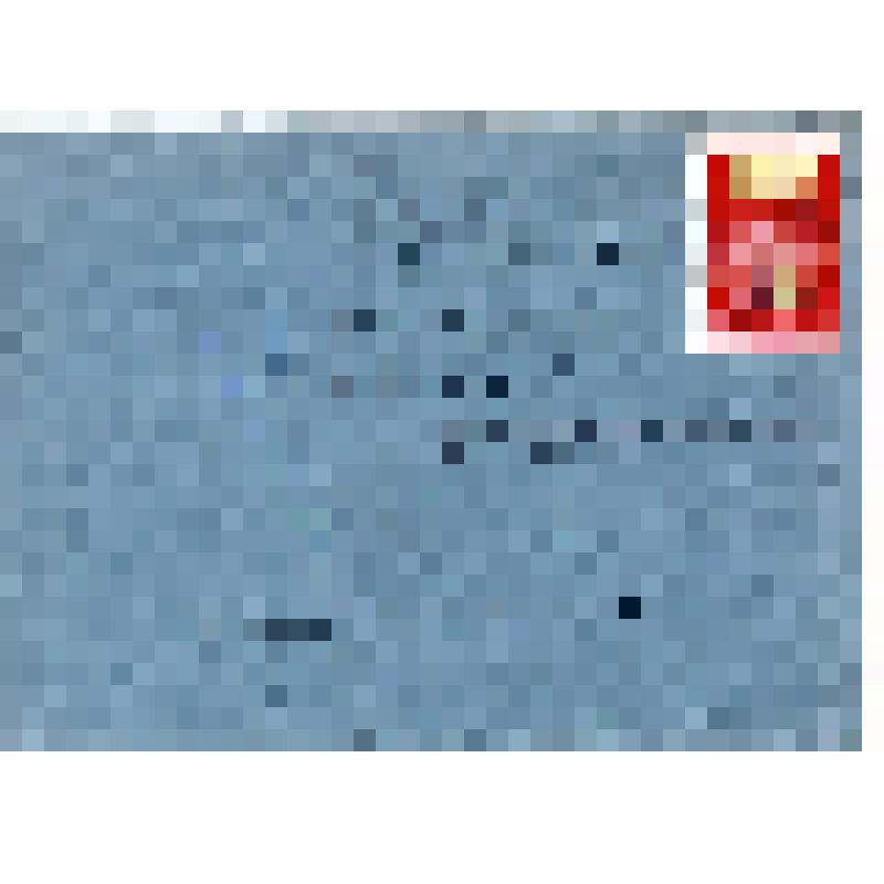 Письмо. Зленко Григорий; Издательство "Маяк". Адресат: Федин Константин Александрович, г. Одесса - г. Москва. Авторизованная машинопись