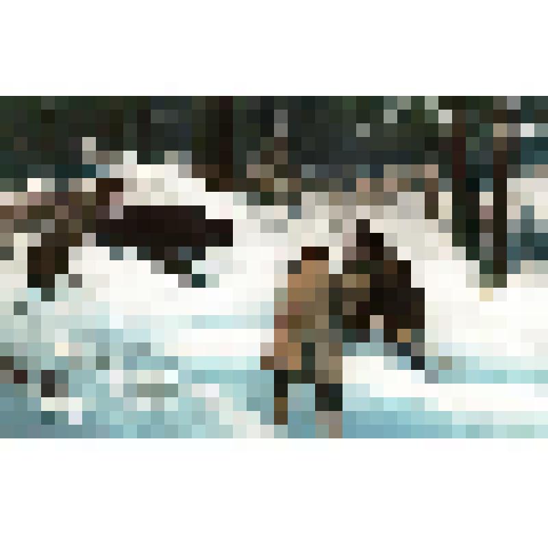 Почтовая карточка