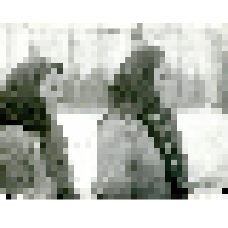 Фотография. Типы тунгусок. Оз. Сэнгнэке