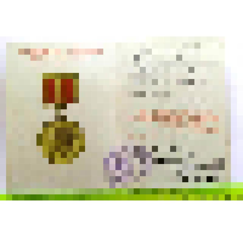 Удостоверение М.Чернова