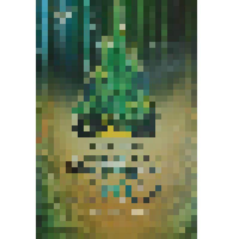 Афиша музыкальной сказки  "Волшебник изумрудного города" Ростовского государственного музыкального театра