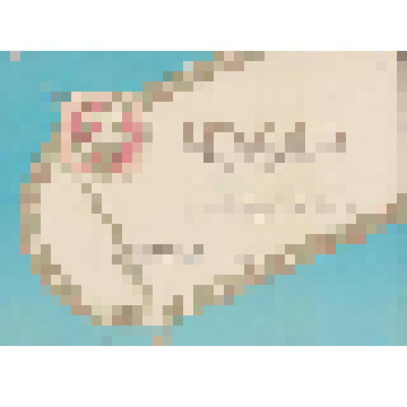 Грамота,Комитет по физической культуре и спорту при Поронайском горисполкоме Награждает Команду Морского порта, III место в соревнованиях по лыжным гонкам на 5 км в зачет зимней спартакиады города, Председатель спорткомитета В. А. Чугунов, г. Поронайск