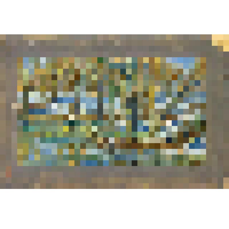 Последний снег