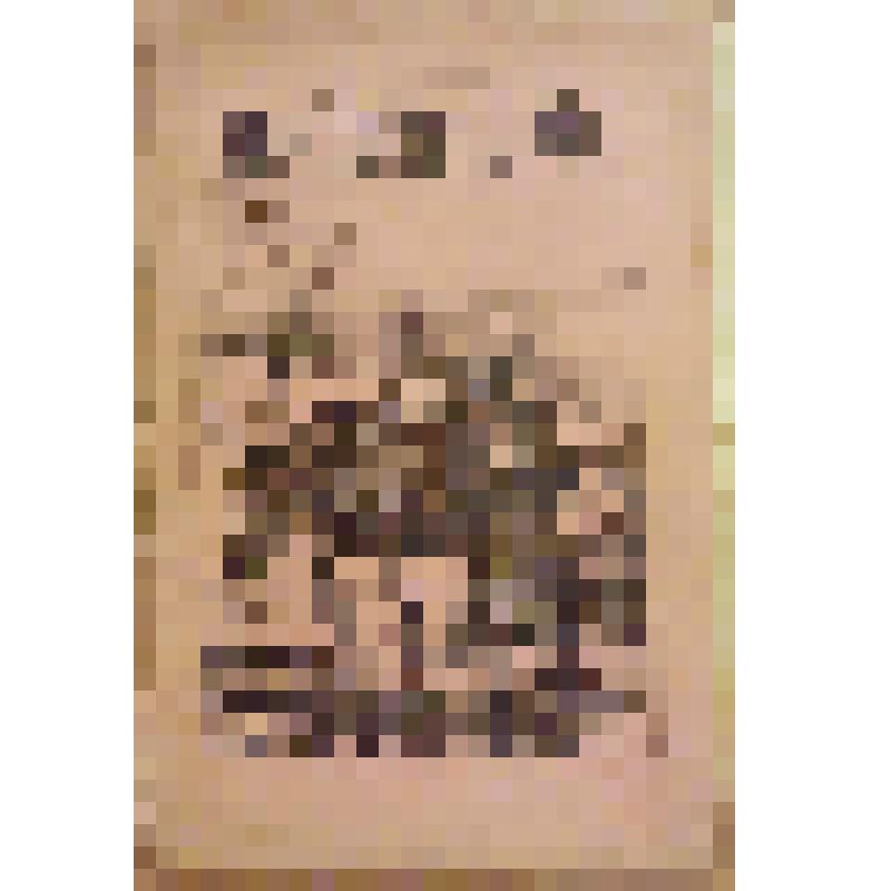 Книга. Пейверинт П. Попутчик [Text] / Издательство в книге не указано. - М. : Издательство "Посредник" (№ 39), 1902 (Товарищество И.Д.Сытина)