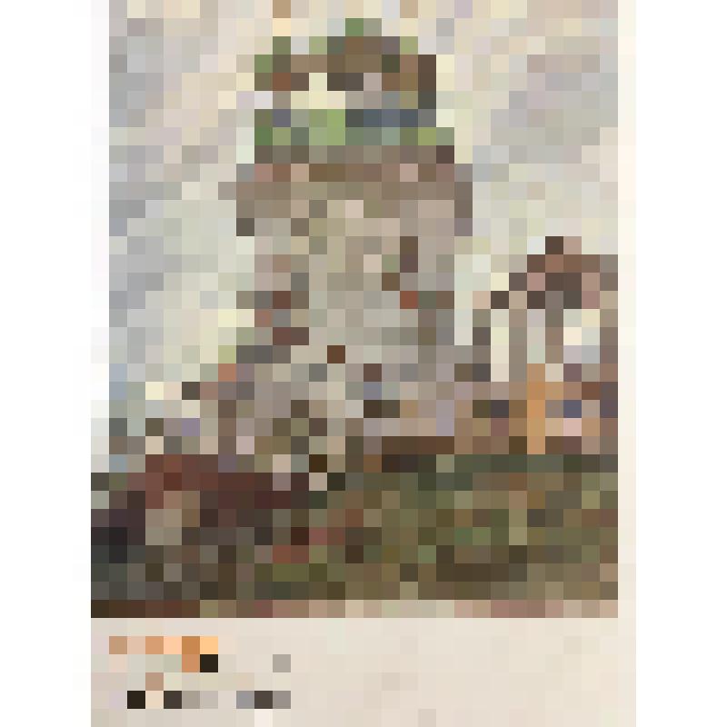 Церковь Вознесения Христова. Село Кушерека. Архангельская губерния. Открытка