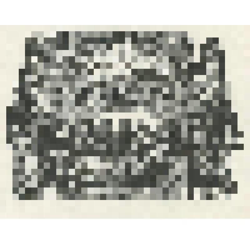 Экслибрис В.В.Лобурева "Музей экслибриса МСК"