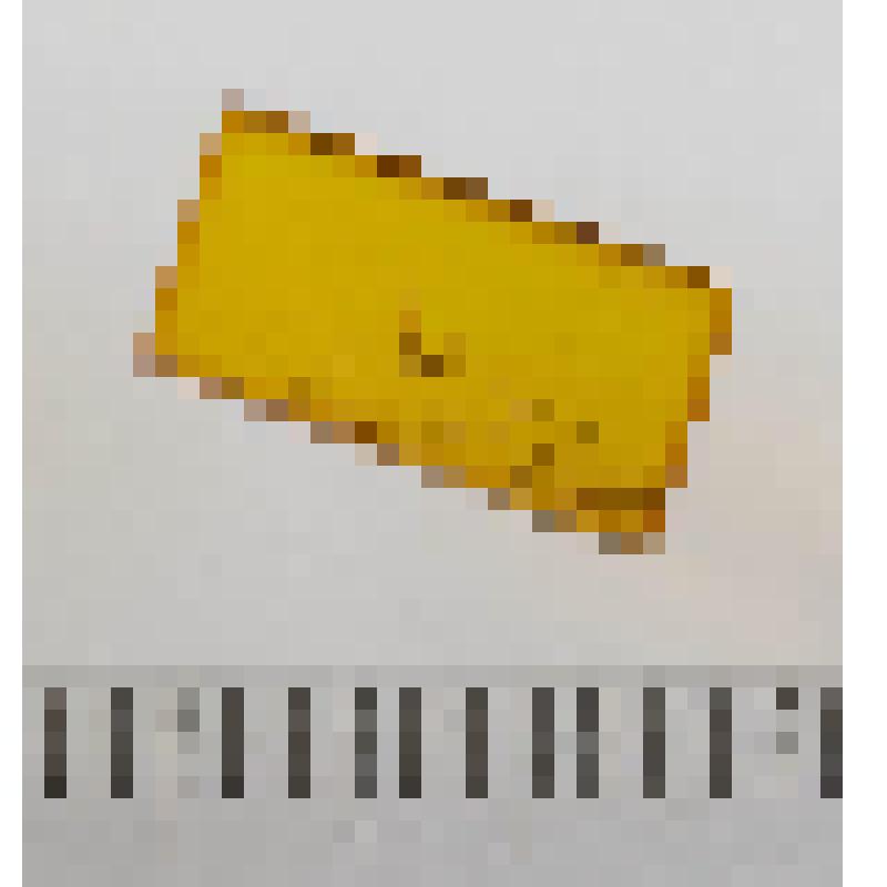 Образец балтийского янтаря (сукцинита) с биологическим включением. Diptera, Nematocera (личинка)