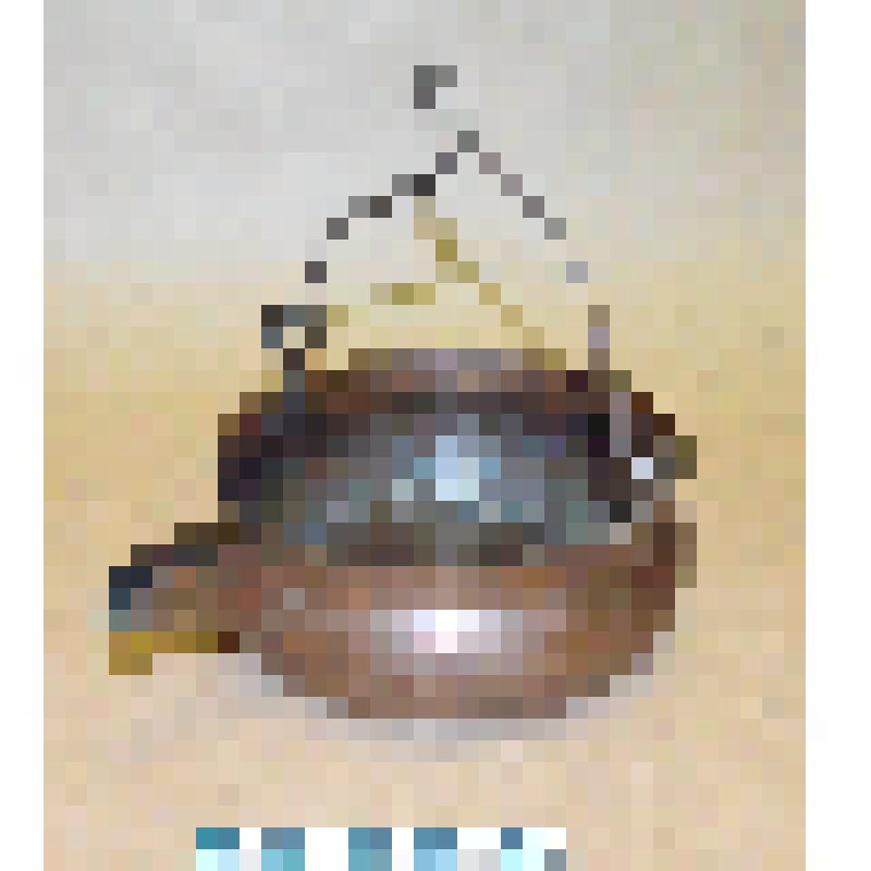 Рукомойник