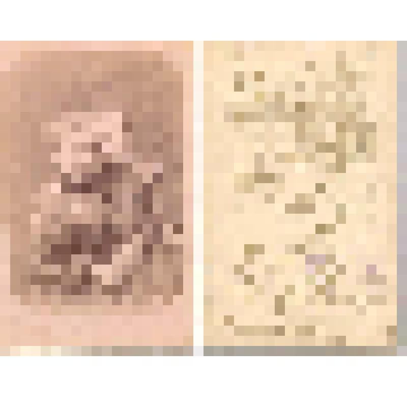 Семейный портрет (женщина с девочкой)