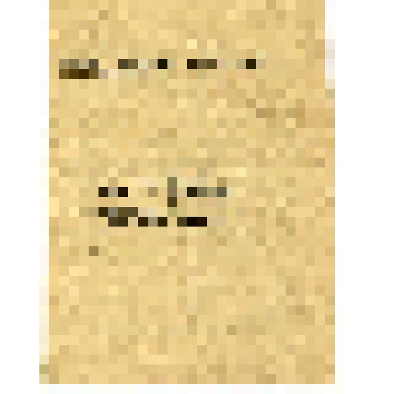 Справка об объявлении благодарности участнику боев за овладение городами Сомбатель, Капувар и Кесег гвардии рядовому Путивцеву Владимиру Игнатьевичу