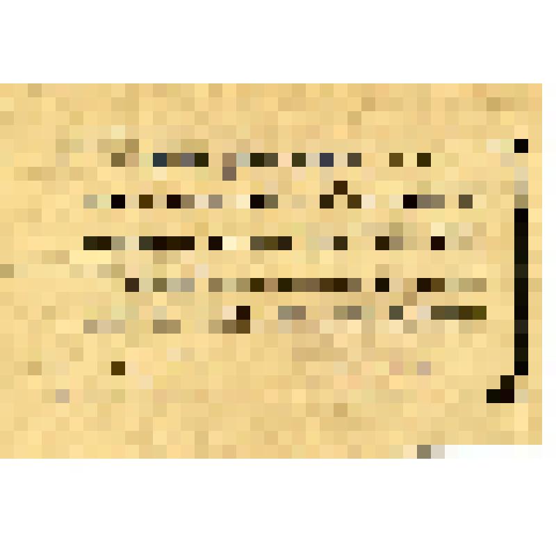 Справка об объявлении благодарности участнику боев за овладение городами Сомбатель, Капувар и Кесег гвардии рядовому Путивцеву Владимиру Игнатьевичу