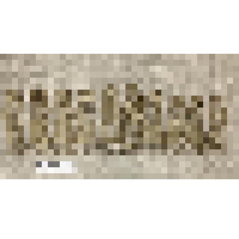 Спорок из 12 фигур (в рост)  святых