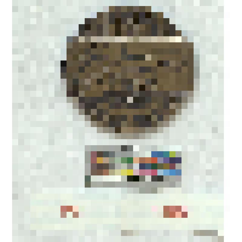 СССР. Памятная медаль. Соревнований на Кубок Европы по боксу, им. Э. Гремо. 1964 г