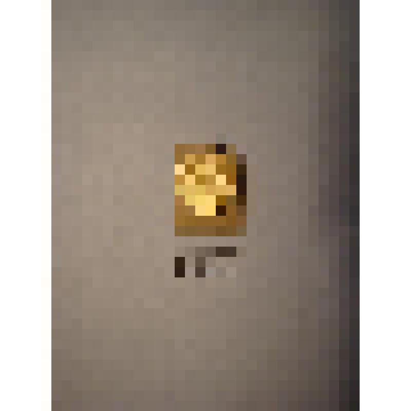 Жетон с изображением Л.Н.Толстого