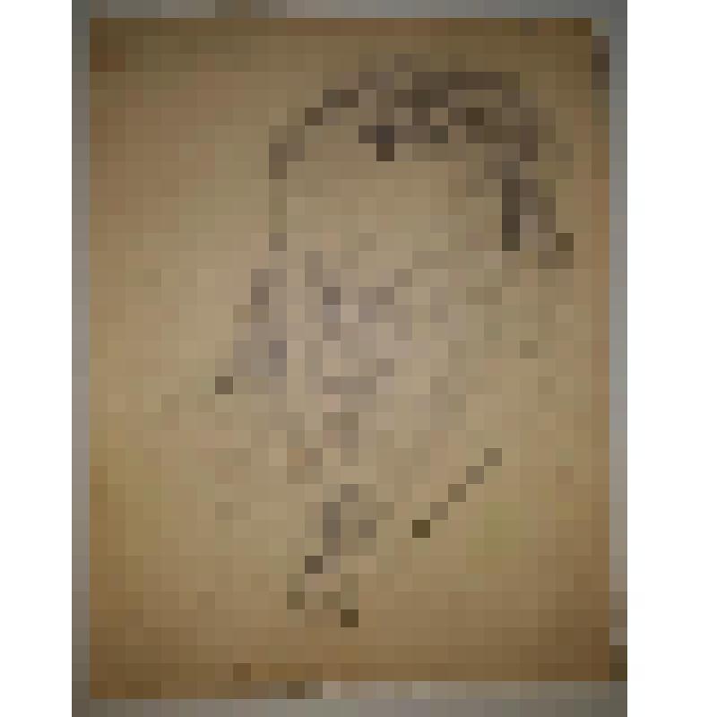 Портрет С.А.Мартинсона. На обороте натюрморт с вазой