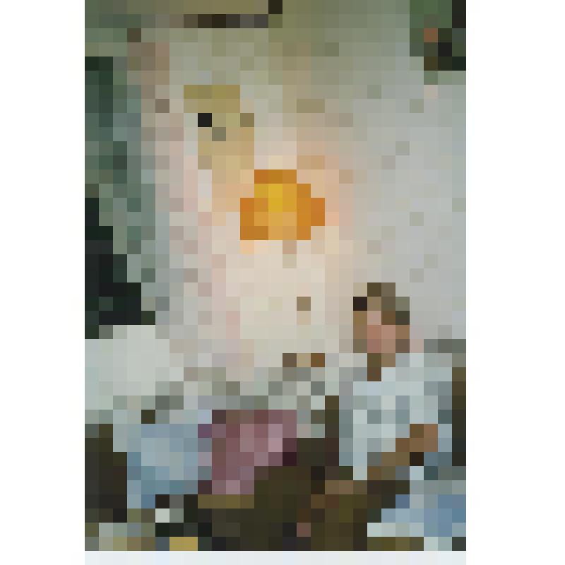 Фотография. Б.Тевлин в гостях
