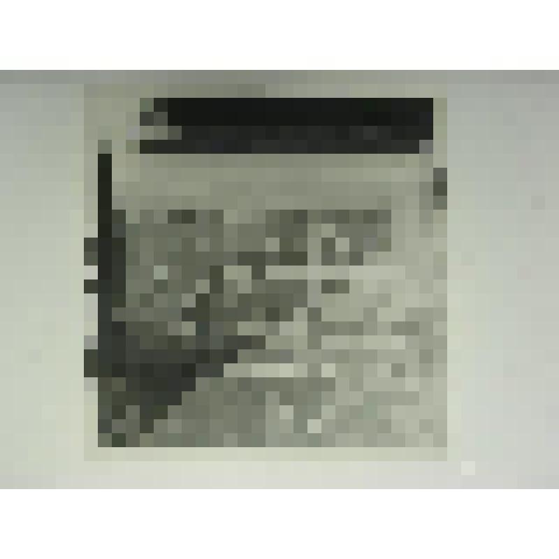 Дом Мурдасовых. Ул. III Интернационала, 25. 1906-1907 гг. Челябинская  обл., Кусинский р-н, г. Куса. Дом Мурдасовых. Ул. III Интернационала, 25. 1906-1907 гг. Ворота. Вид со стороны двора