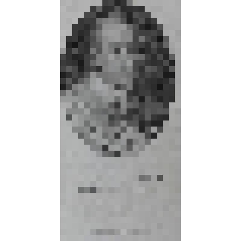 Портрет шведского короля Густава Адольфа Гросса