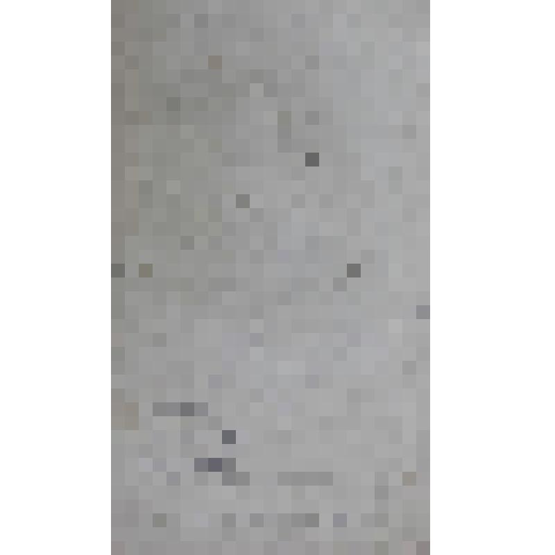 Портрет шведского короля Густава Адольфа Гросса