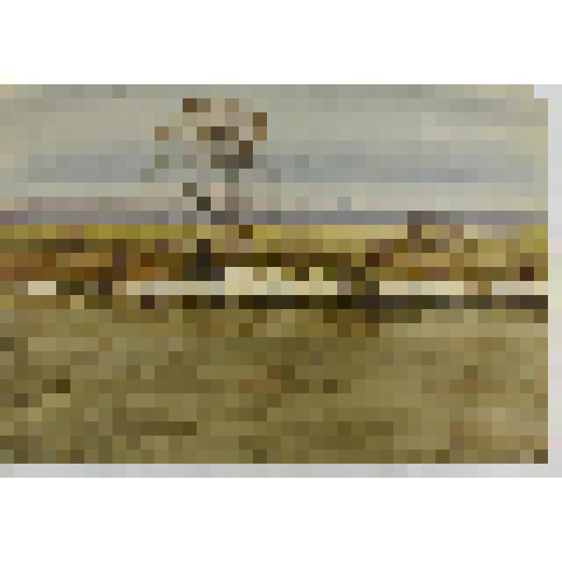 Акварель. Последний снег