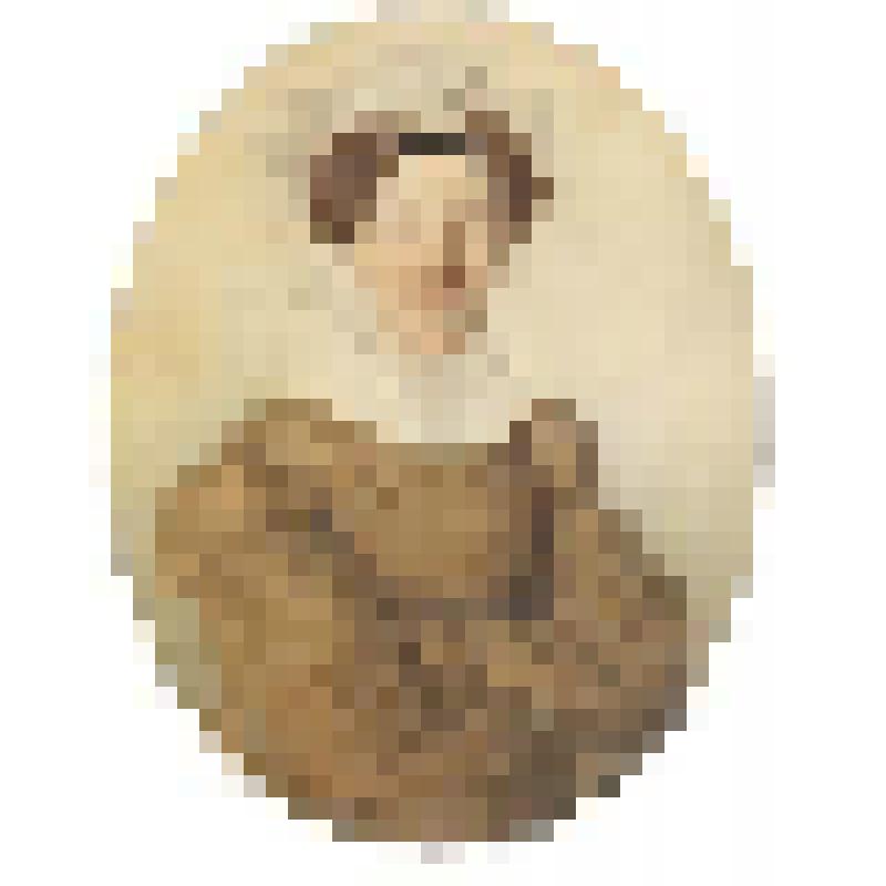 Портрет. Портрет Гончаровой (?) Александры Николаевны. 1811-1891